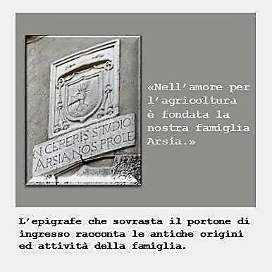 Domus Arsia Irsina