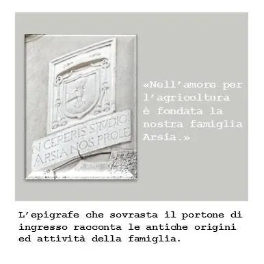 Bed & Breakfast Domus Arsia 3*